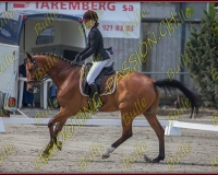 BULLE 0269